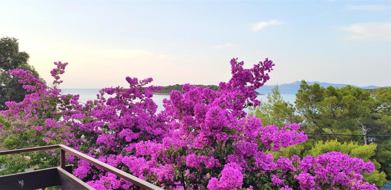 Apartman Ena By The Sea Прижба Екстериор снимка